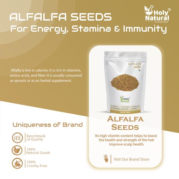 Holy Natural Alfalfa Seed (100gm) also called Medicago sativa Seeds