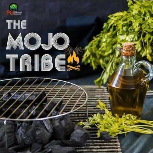 MOJO Coconut Shell BBQ Charcoal Briquette 3 Kg Long Burning Barbeque