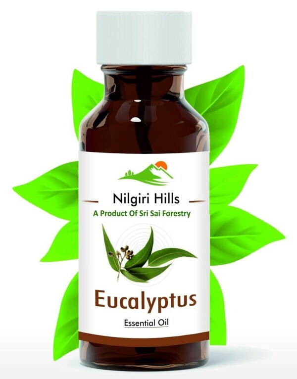 SRI SAI FORESTRY Eucalyptus Oil 100 Ml 100 Natural and Pure Nilgiri