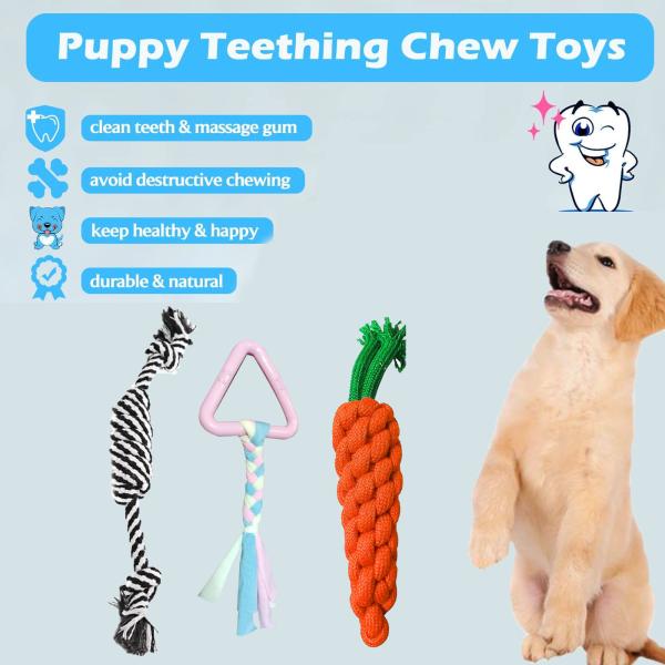 Emily Pets Chew Toys for Puppies, Safe & NonToxic, Includes Rope Toys