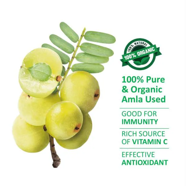 Vitro Healthy Amla Juice 1L | 100% Natural Banarasi Amlas Improves Skin  Health & Hair Growth, Rich in Vitamin C and Good immunity booster - JioMart