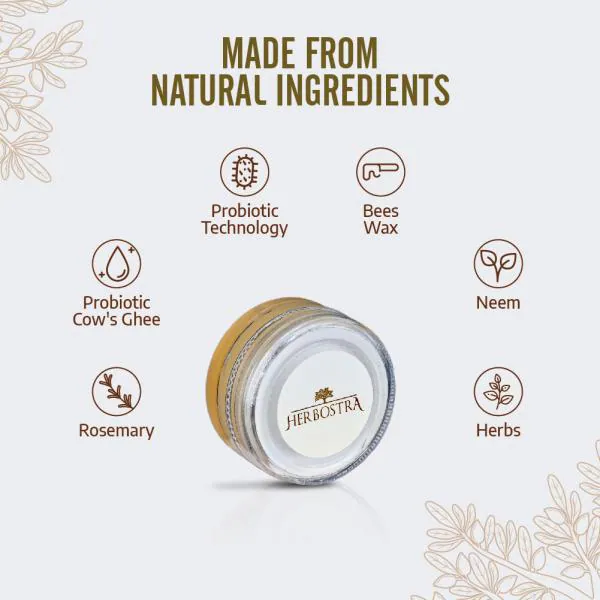 Herbostra Probiotic Ghee Lip Balm Free From Toxin 10gm JioMart