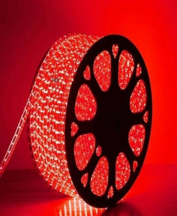 Astern Red Rice Light 800 LED/9.91inch JioMart