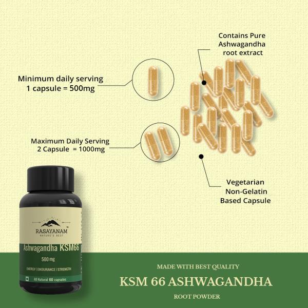 Rasayanam Ashwagandha KSM66 (500 mg) Strongest Ashwagandha Extract