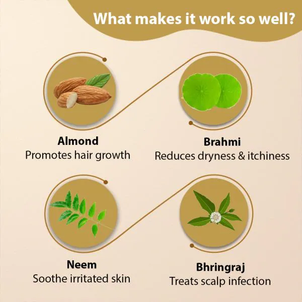 Nimson Almond Hair Oil With Almonds, Amla For Hair Follicles and Scalp