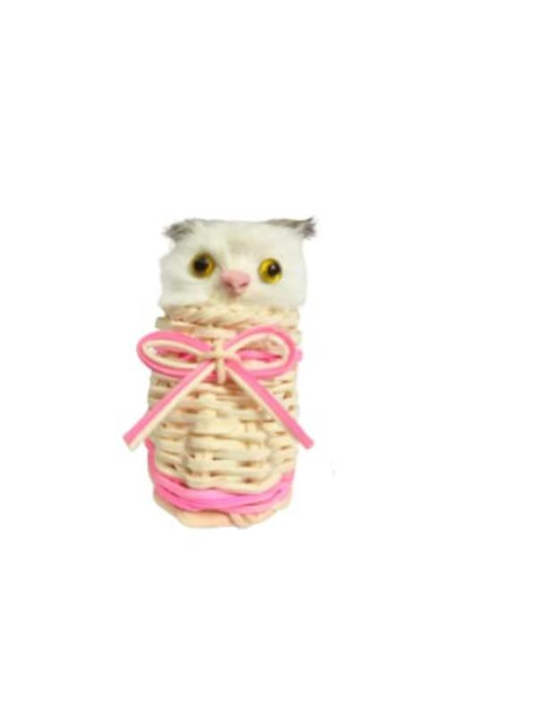 PSK Pet Mart Cat Shoe Toy JioMart