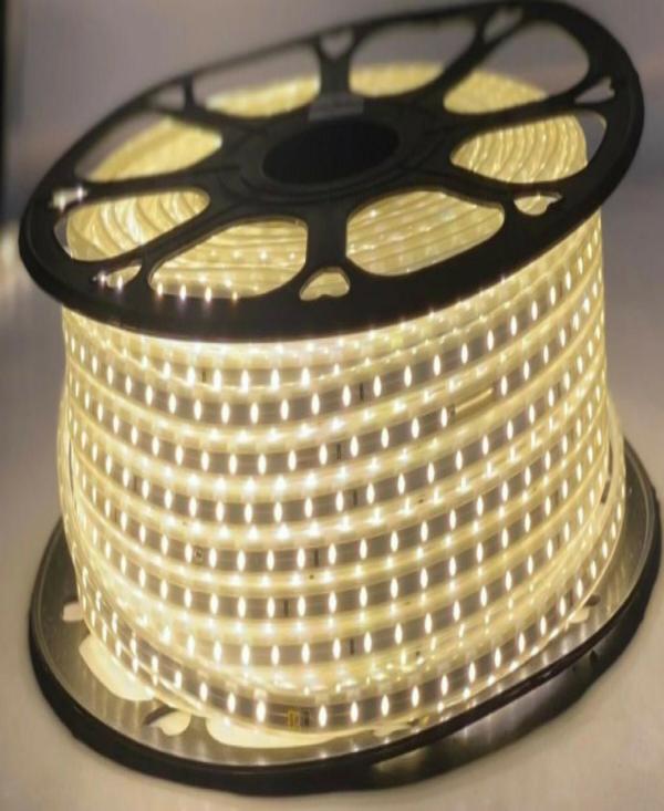 Astern Yellow Rice Lights 300 LED/5m JioMart