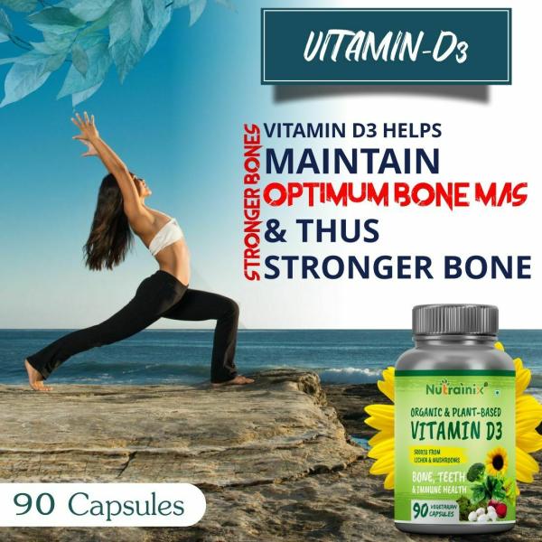 Nutrainix Organic Vitamin D3 From Lichen & Mushrooms 90 Vegetarian