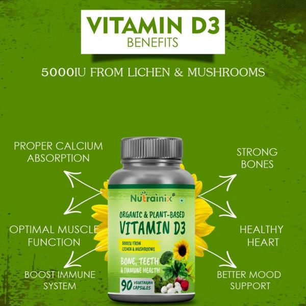 Nutrainix Organic Vitamin D3 From Lichen & Mushrooms 90 Vegetarian