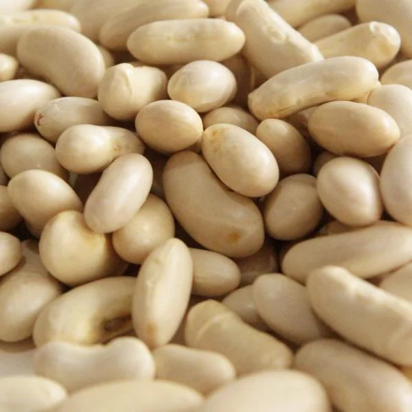 GiTAGGED Uttarakhand Munsiyari Rajma, White Kidney Beans 500gm JioMart