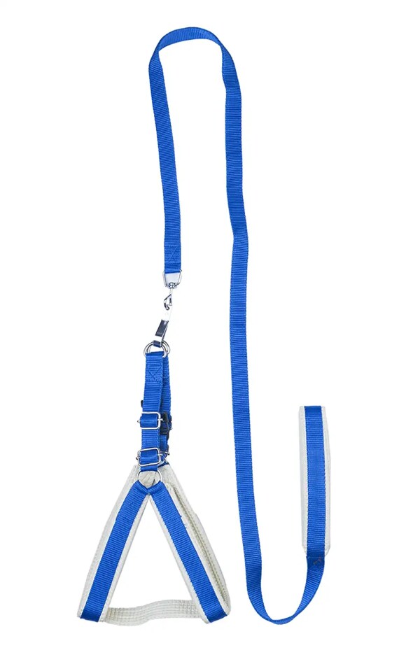 FURRY TAILS Dog Belt Padded Harness with Adjustable Belt Suitable for