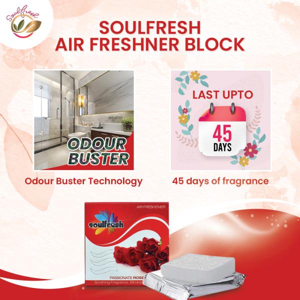 SOULFRESH (Pack of 9 )Assorted Air Freshener Blocks for toilet room