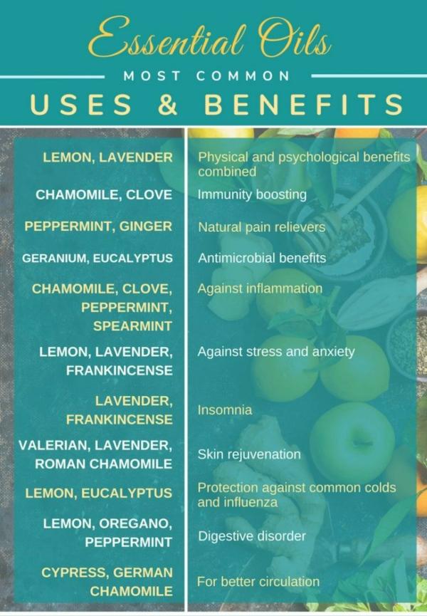 Nilgiris Eucalyptus Oil 1 Ltr JioMart