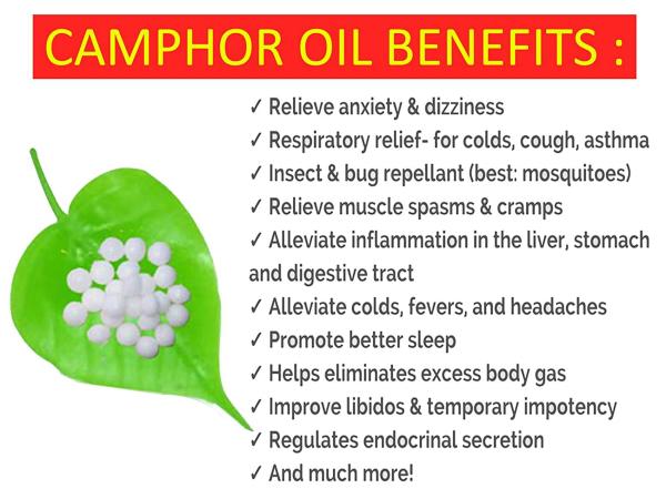 KAZIMA Camphor Essential Oil For Skin Care and Hair Care 500 ml - JioMart