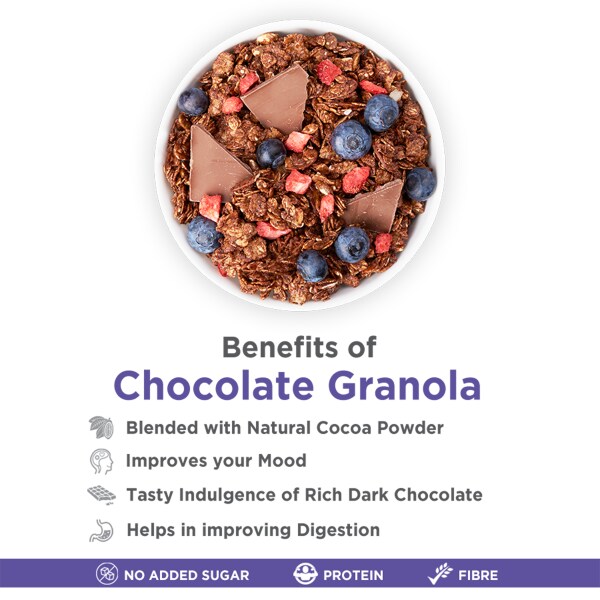 True Elements Dark Chocolate Granola 700gm JioMart