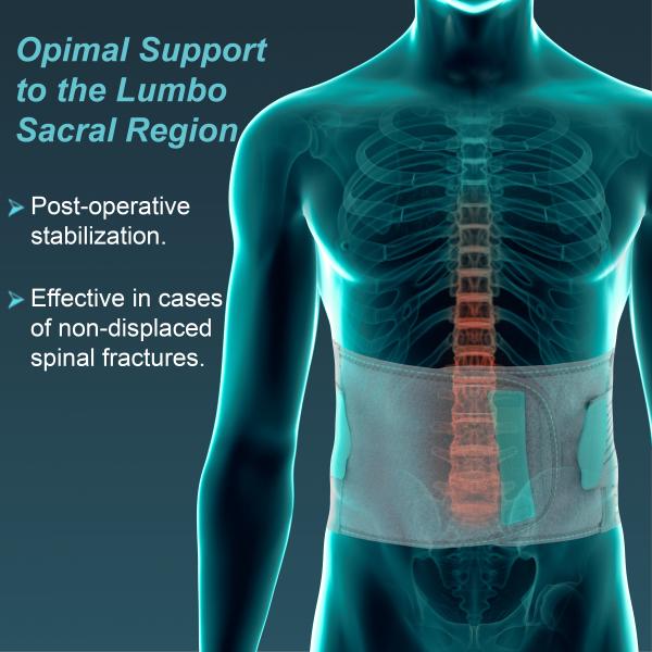 Tynor LS Belt Lumbopore, Grey, XL, 1 Unit JioMart