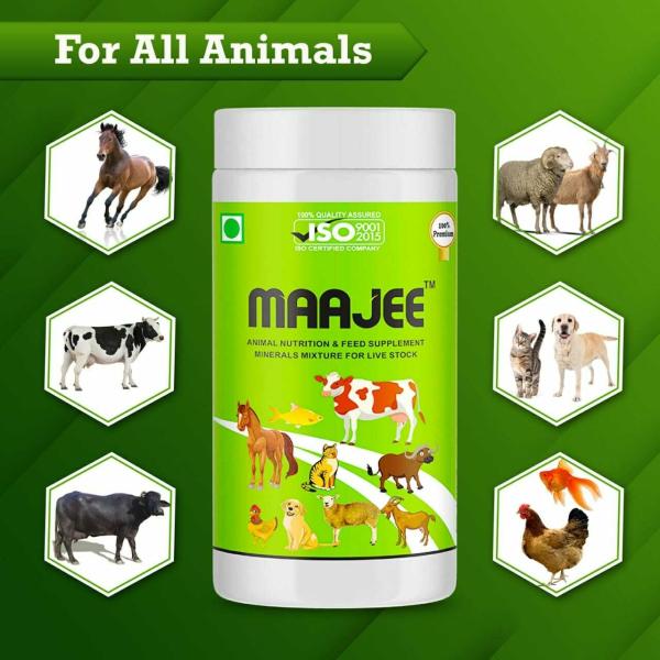 MAAJEE Animal Nutrition Feed Supplement Minerals Mixture - Improvement in  Milk Yield, Milk Fat & SNF Content | Weight Gainer - Trace Minerals for All  Animals | No Side Effects (908gm) - JioMart