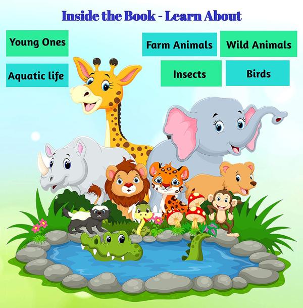 Kiddale Green Children Learning Animal Book - JioMart