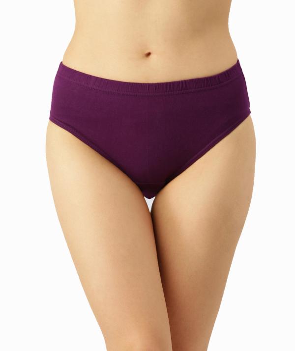 Dollar Missy Women Inner Elastic Solid color Assorted Pack of 4 Hipster