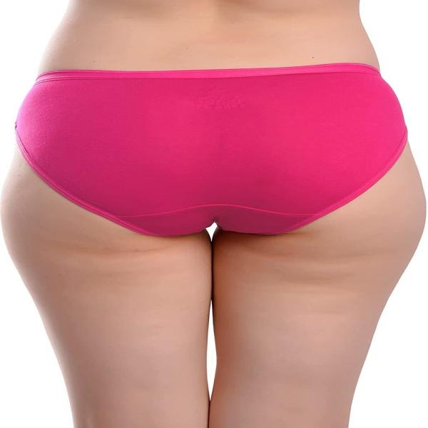 Lovica Women Bikini Multicolor Panty () JioMart