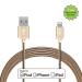 itek CBL011-CH 1.2 m Fast Charging USB to 8 Pin Lightning Braided Cable, Gold