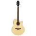 Gamma Audio CC-D40Q Acoustic Guitar, Natural