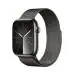 Apple Watch Series 9 GPS + Cellular 45mm Graphite Stainless Steel Case with Graphite Milanese Loop