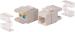 WETEK 180 Degree Cat 6 Keystone Jack - RJ45 Ethernet Cat6 Wall Jack White - 110 Type - Keystone Jack 180 Degree 110 UTP (Pack of 2)