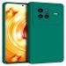 Rakulo Liquid Silicone Flexible with Camera Protection Soft Back Cover Case Vivo X80 (Green)