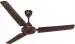 Glister Bright Ideas Brighter Future Daisy 1200 MM Ceiling Fan Brown Hi Speed
