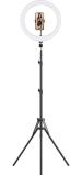 Webilla 12 Ring Light With Tripod Stand and Cell Phone Holder, Dimmable Led Circle Light