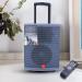 Punta In Style..Always! Grey Trolley Bluetooth Speaker