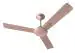Havells Enticer ES 1200mm Ceiling Fan (Rose Gold, Pack of 1)