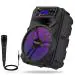 Royal Mobisol Apex Partybox | Bluetooth Wireless Party Speaker | Upto 6 Hours Playtime | RGB Lightning | in Built FM Radio