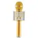 D & Y-Careflection Battery Powered Wireless Singing and Multifunction Bluetooth Karaoke Mic with Microphone (Multicolor)