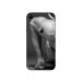 GADGETSWRAP Printed Vinyl Skin Sticker for Apple iPhone XR - Workout Muscle Bodybuilding Biceps Push-ups