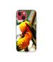 Casotec Love Bards Design Printed Silicon Soft TPU Back Case Cover for Apple iPhone 13