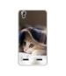 Casotec Sleepy Kitten Design Printed Silicon Soft TPU Back Case Cover for Lenovo A6000