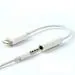 Astound 3.5Mm Female To Male Lightning Adapter Cable