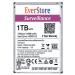 Everstore Imported Surveillance Hard Disk 7200RPM 6GB/S 1TB Hard Disk pack of 1