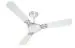 Havells Enticer Art ES 1200mm Ceiling Fan (Pearl White Chrome, Pack of 1)