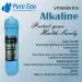 PURE EAU Sediment Filter, Pre-Carbon Filter, Vitamin B12 Alkaline Filter, and Inline Filter Set for All RO Water Purifiers: Pushi Fit, Universal, Water Pipe (Pack of 1)