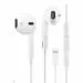 FGT FINDGOOD TRENDS Wired Earbuds Lightning Earphone [Apple MFi Certified] Built-in Mic & Volume Control Compatible with Apple iPhone 14/13/12/11 Pro Max Xs/XR/X/7/8 Plus-All iOS