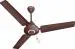 Havells Efficiencia Neo 1200mm BLDC Motor with remote Ceiling Fan, Brown