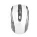 REZEK Silver Wireless, Portable Optical Cordless Mouse (9.5 L x 6 W x 2.2 H)