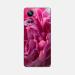 GADGETSWRAP Printed Vinyl Skin Sticker for Realme 10 Pro Plus - pink peony flower macro