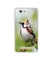 Casotec Bird Pattern Design Printed Silicon Soft TPU Back Case Cover for Gionee F103 Pro