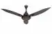 Usha Bloom Bellflower 1300mm Goodbye Dust Ceiling Fan (Sparkle Black & Maroon)