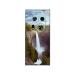 GADGETSWRAP Printed Vinyl Skin Sticker for Tecno Phantom X2 - Waterfall Landscape De