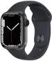 Orgic India Apple Watch Series 7 45Mm Matte Black Mobile Skin